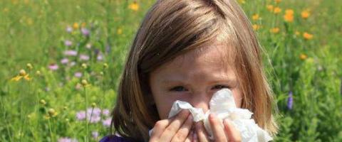 Koje su kapi za nos najbolje za djecu: popis lijekova, upute